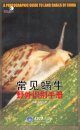 A Photographic Guide to Land Snails of China [Chinese]