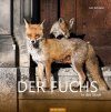 Der Fuchs in der Stadt [The Fox in the City]