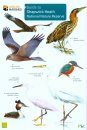 Guide to Shapwick Heath National Nature Reserve