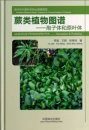 Album of Pteridophytes: Sporophyte & Prothallus [English / Chinese]