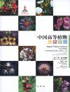 Higher Plants of China in Colour, Volume 7: Angiosperms: Scrophulariaceae – Compositae [English / Chinese]