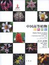Higher Plants of China in Colour, Volume 8: Angiosperms: Typhaceae – Velloziaceae [English / Chinese]