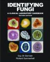 Identifying Fungi