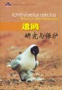 Ichthyaetus relictus Research and Conservation [Chinese]