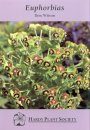 Euphorbias
