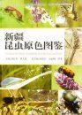 Colored Pictorial Handbook of Insects in Xinjiang [Chinese]
