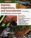 Reptiles, Amphibians and Invertebrates