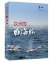 The White Dolphins of Qinzhou [English / Chinese]
