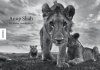 Anup Shah: Die Letzten Tiere der Mara [The Last Animals of the Mara]