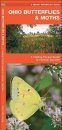 Ohio Butterflies & Moths