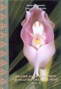 Orchids of the Department of Valle del Cauca (Colombia), Volume 4