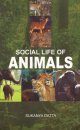 Social Life of Animals