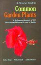 A Pictorial Guide to Common Garden Plants