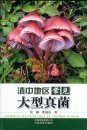 Common Macrofungi in Central Yunnan [Chinese]