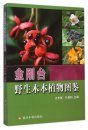 Atlas of Wild Woody Plants in Jingangtai Mountains [Chinese]