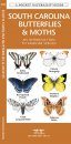 South Carolina Butterflies & Moths