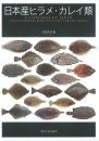 Flatfishes of Japan (Citharidae, Paralichthyidae, Bothidae, Pleuronectidae, Poecilopsettidae, Samaridae) [Japanese]