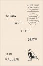 Birds Art Life Death