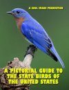 A Pictorial Guide to the State Birds of the United States