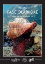 Recent Fasciolariidae