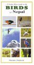 A Pocket Photo Guide to the Birds of Nepal