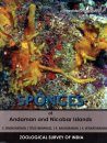 Sponges of Andaman and Nicobar Islands