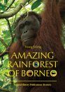Amazing Rainforest of Borneo