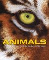 Animals: A Visual Guide to the Animal Kingdom