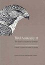 Bird Anatomy II (4CD-ROM)