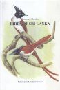 Common Garden Birds of Sri Lanka