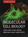 Molecular Cell Biology (Global Edition)