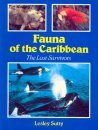 Fauna of the Caribbean