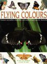 Flying Colours: Common Butterflies, Moths and Caterpillars of South East Australia