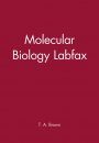 Molecular Biology Labfax