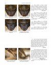 Handbook of the Bees of the British Isles (2-Volume Set)