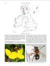 Handbook of the Bees of the British Isles (2-Volume Set)