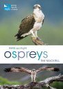 RSPB Spotlight: Osprey