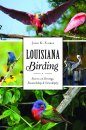 Louisiana Birding