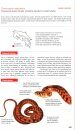 Reptiles of Costa Rica