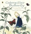 Caterpillar Butterfly