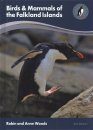 Birds & Mammals of the Falkland Islands