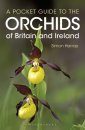 A Pocket Guide to the Orchids of Britain and Ireland