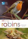 RSPB Spotlight: Robins