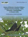 Status of Western Hoolock Gibbon Hoolock hoolock (Harlan, 1834) (Primates: Hylobatidae) in Assam, India