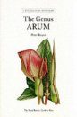 The Genus Arum