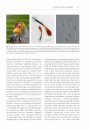 The Biology of Moult in Birds
