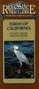 Birds of California: A Guide to Viewing Different Varieties