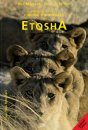 An Expert's Guide to Finding the Animals in Etosha