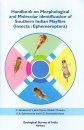 Handbook on Morphological and Molecular Identification of Southern Indian Mayflies (Insecta: Ephemeroptera)