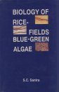 Biology of Rice Fields Blue-Green Algae
